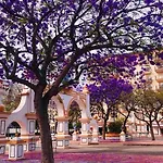 Διαμέρισμα Higueronrentals Paradise Lift Fuengirola